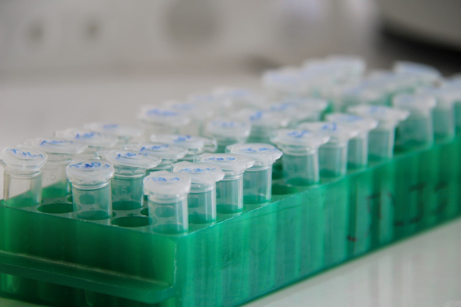 Rows of lab sample tubes prepared for analysis